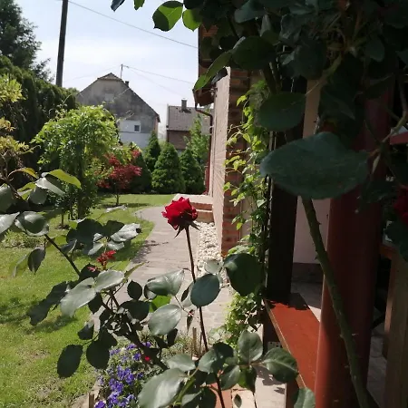 Appartement Saga à Osijek Extérieur photo