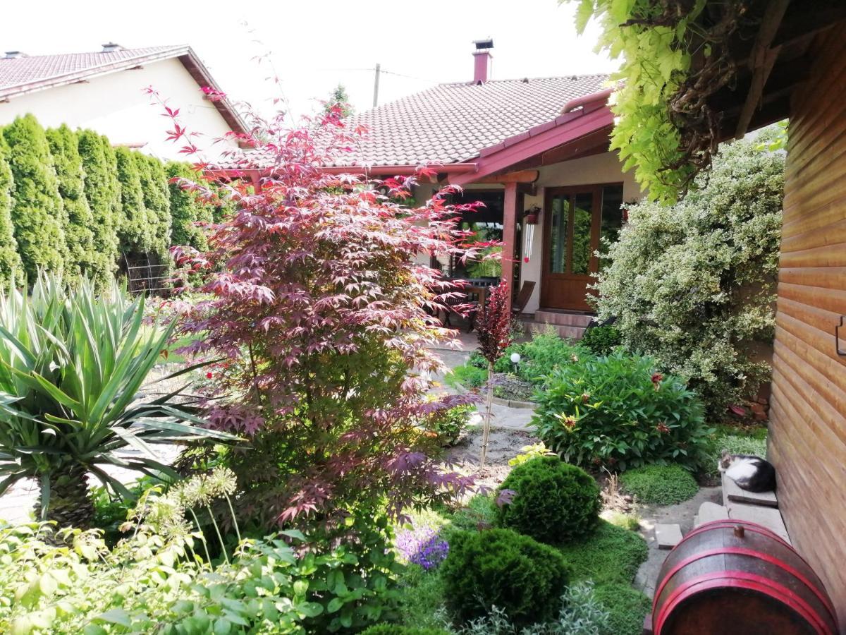 Apartment Saga Osijek